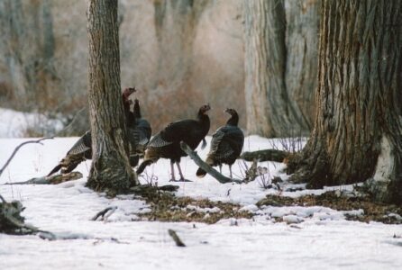 Photo of the Week: What Are You Thankful For? Image